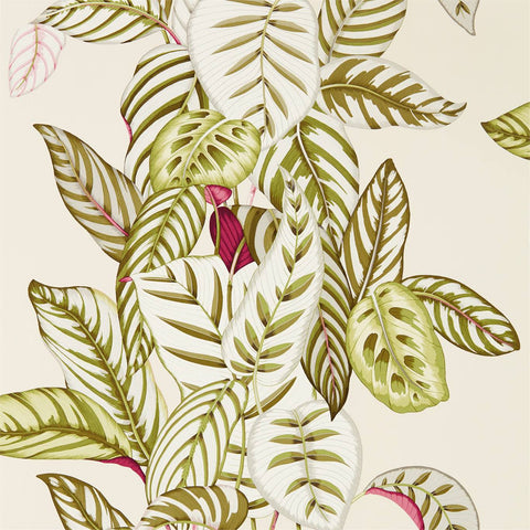 Sanderson Wallpaper | King Protea 216646