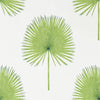 Fan Palm Wallpaper by Sanderson 216636