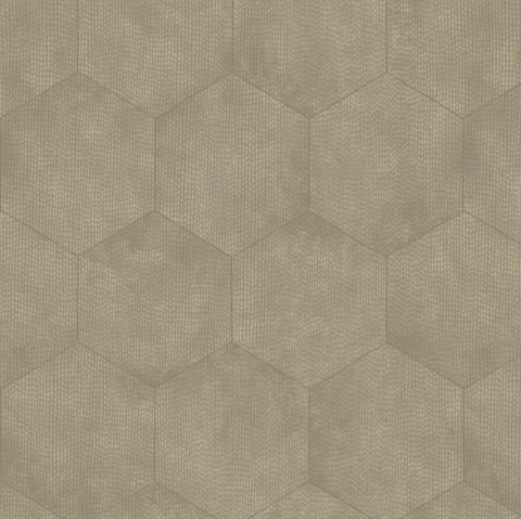 Cole & Son Wallpaper | Hicks Hexagon 66/8054