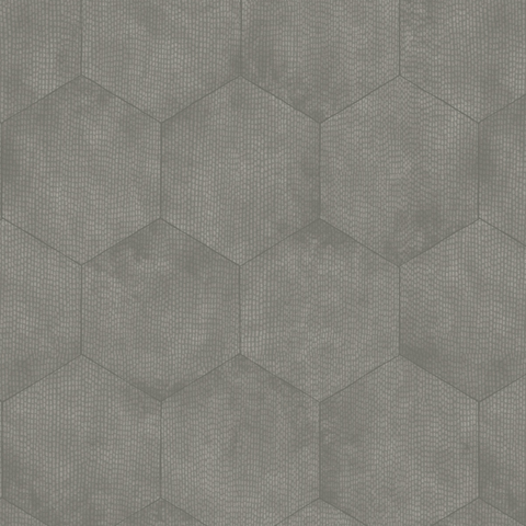 Cole & Son Wallpaper | Hicks Hexagon 95/3017