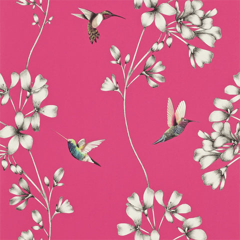 Harlequin Wallpaper | Garden Friends 112635