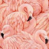On SALE Pink Flamingos Wallpaper