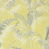 Palm House Wallpaper by Sanderson Australia