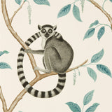 Sanderson Wallpaper | Ringtailed Lemur 216665