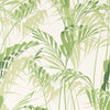 Palm House Wallpaper 216643 by Sanderson