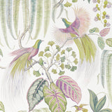 Birds of Paradise Wallpaper 216654 by Sanderson