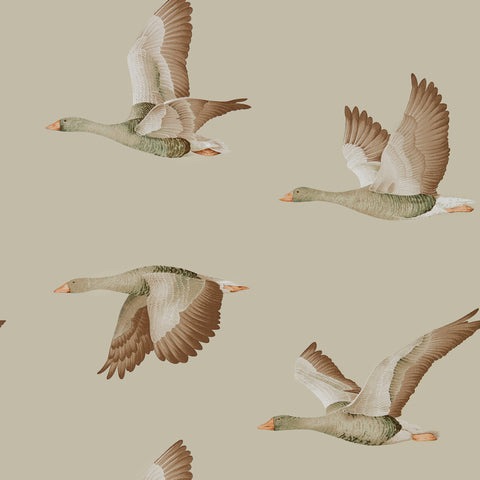 Sanderson Wallpaper | Birds of Paradise 216652