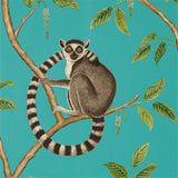 Ringtail Lemur Wallpaper 216663