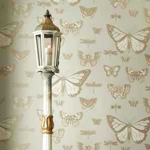 Cole & Son Wallpaper | Butterflies & Dragonflies 103/15062