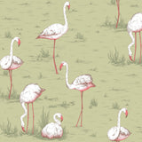 Flamingos Wallpaper Australia | Cole & Son