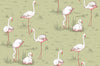 Flamingos Wallpaper 112/10038 Cole & Son Australia