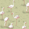 Flamingos Wallpaper Australia | Cole & Son