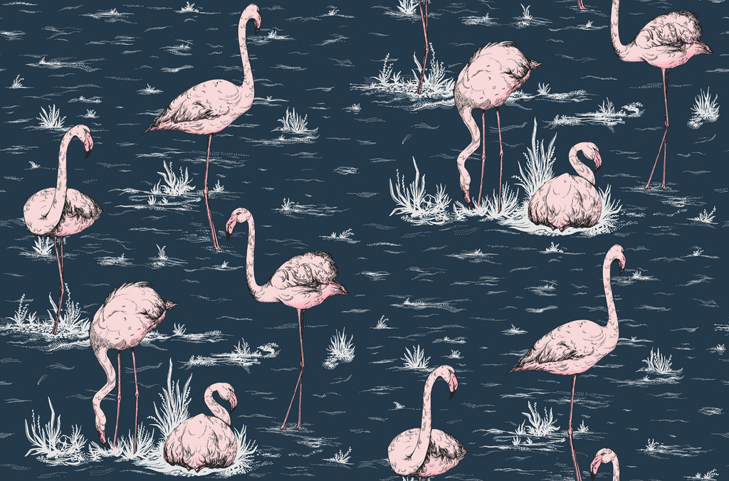 Flamingos Wallpaper 112/10041 Cole & Son