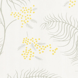 Cole & Son Mimosa Wallpaper 68/8132