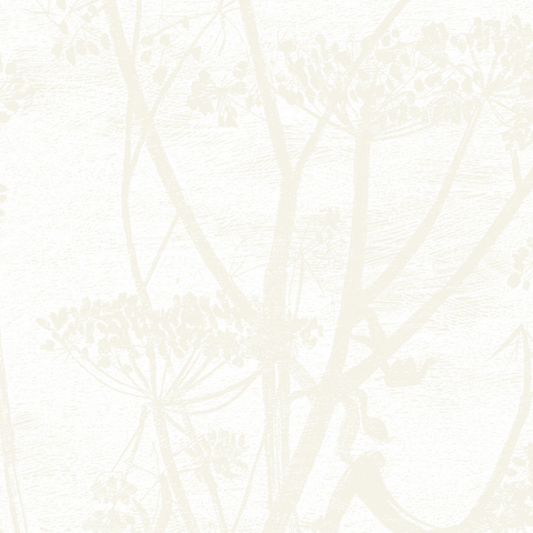 Cole & Son Wallpaper | Summer Lily 95/4023