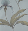 Cole & Son Orchid Wallpaper 66/4026 from the Contemporary Collection