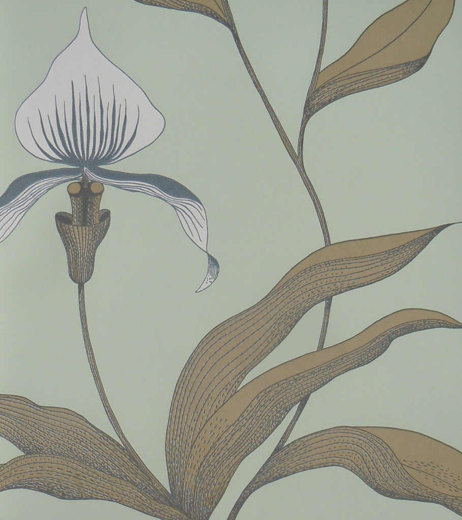 Cole & Son Orchid Wallpaper 66/4028 Contemporary Collection.