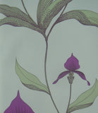 Cole & Son Orchid Wallpaper 66/4027 from the Contemporary Collection