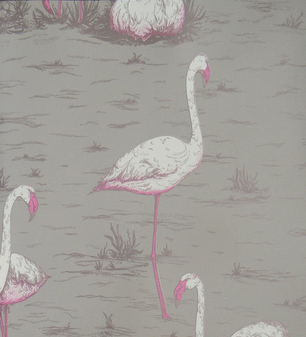 Cole & Son Wallpaper | Flamingos 112/11038