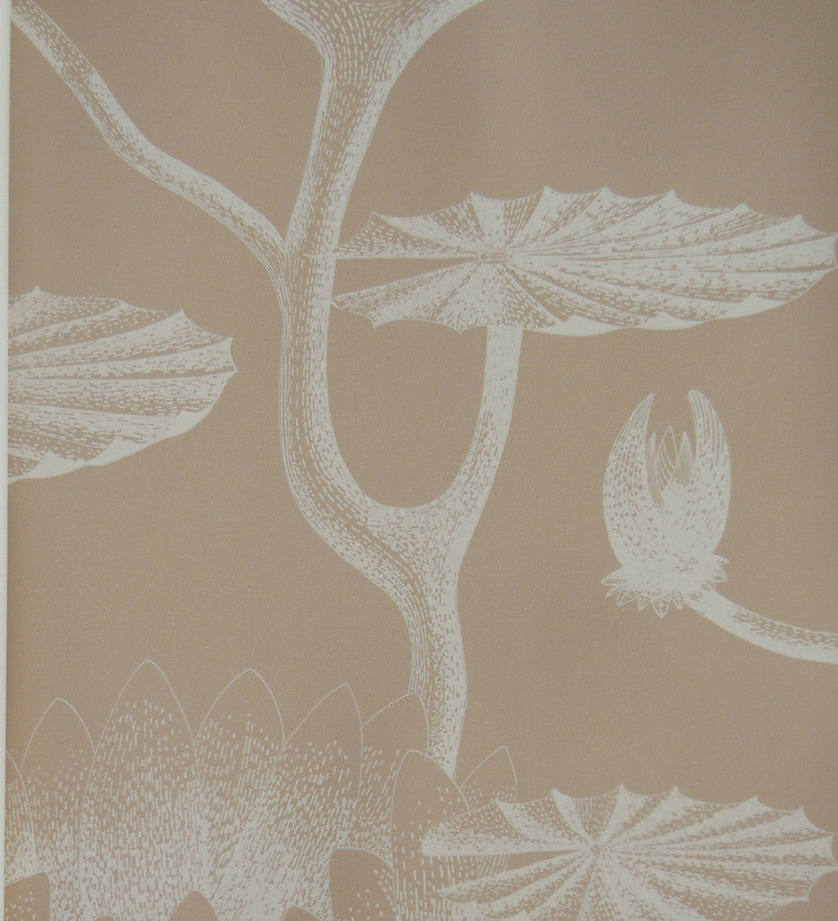 Cole & Son Lily Wallpaper 69/3113 in Australia from the Contemporary Collection