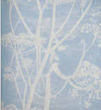 Cole & Son Cow Parsley Wallpaper from Removable Wallpaper.com.au