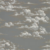 Silvi Clouds Wallpaper 216603 by Sanderson