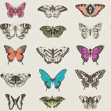 Harlequin Wallpaper Australia | Papilio 111079