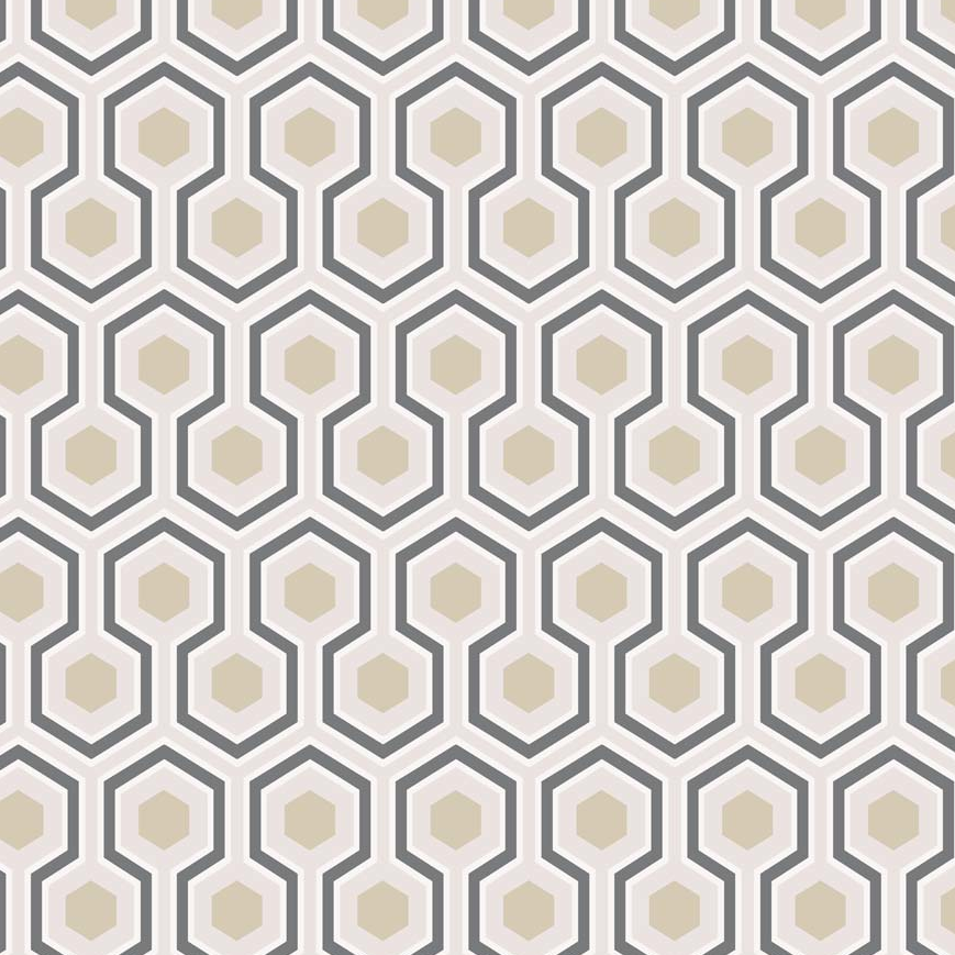 Hicks's Hexagon Wallpaper 95/3016 Cole & Son Contemporary Restyled 