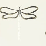 Scion Melinki non woven wallpaper Dragonfly 110247