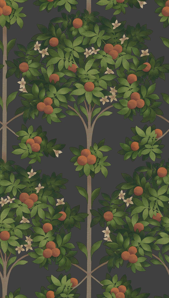Cole & Son Wallpaper | Orange Blossom 117/1003