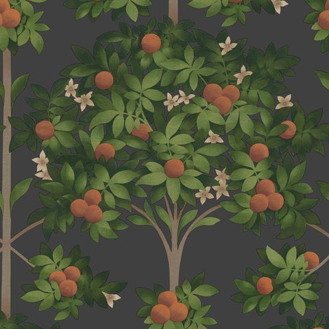 Cole & Son Wallpaper | Orange Blossom 117/1001