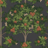 Orange Bloosom Wallpaper  117/1003