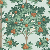 Orange Blossom Wallpaper 117/1004