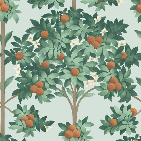 Cole & Son Wallpaper | Orange Blossom 117/1002