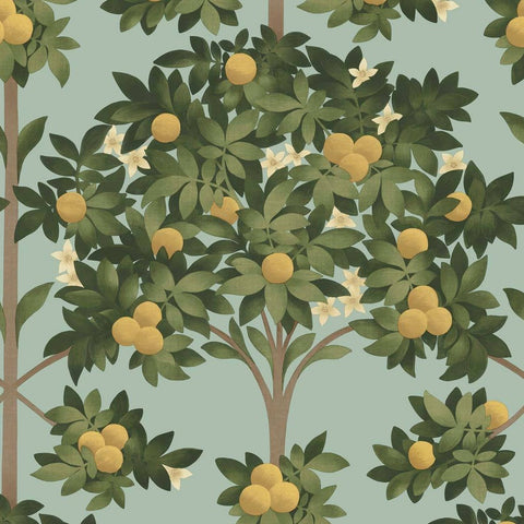 Cole & Son Wallpaper | Orange Blossom 117/1003
