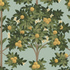 Orange Blossom Wallpaper 117/1003
