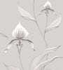Orchid 95/10055 Cole & Son Wallpaper