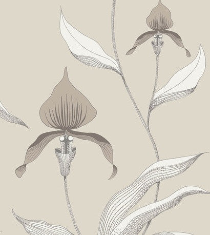 Cole & Son Wallpaper | Orchid 95/10055