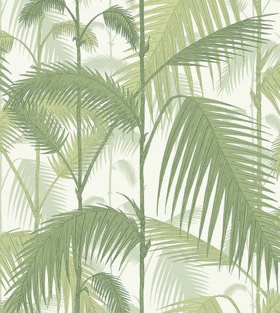 Cole & Son Wallpaper | Palm Jungle 95/1007