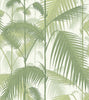 Palm Jungle Cole & Son Wallpaper 95/1001 in Australia. Green Olive & White