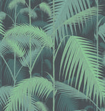 Palm Jungle 95/1003 Wallpaper Cole & Son. Green on Black