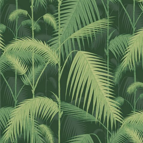 Cole & Son Wallpaper | Palm Leaves 112/2008