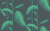 Palm Leaves 112/2007 Wallpaper Cole & Son Australia
