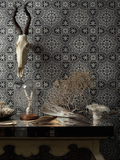 Cole & Son Wallpaper Australia | Piccadilly 94/8045 | Albemarle Collection