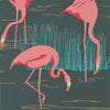 Flamingo Wallpaper - Salinas 112156