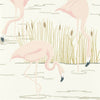 Flamingo Wallpaper | Salinas 112157