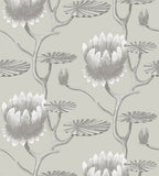 Cole & Son Wallpaper Restyled Summer Lily 95/4025 | Australia
