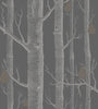 Woods & Pears 95/5031 Wallpaper Cole & Son