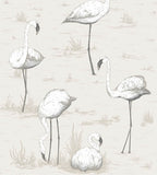 Flamingos Wallpaper 95/8046 Cole & Son