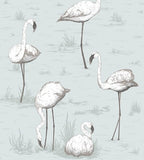 Flamingos Wallpaper 95/8047 Cole & Son